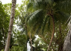 maledivy-hotel-conrad-rangali-island-019_ext_w_1.jpg