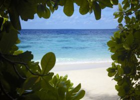 maledivy-hotel-dusit-thani-maldives-245_ext_w_1.jpg