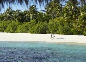 maledivy-hotel-dusit-thani-maldives-254_ext_w_1.jpg