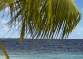 maledivy-hotel-dusit-thani-maldives-256_ext_w_1.jpg