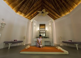 maledivy-hotel-dusit-thani-maldives-288_ext_w_1.jpg