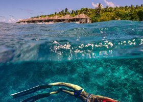 maledivy-hotel-dusit-thani-maldives-513_ext_w_1.jpg