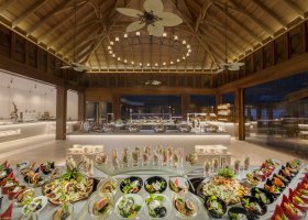 maledivy-hotel-dusit-thani-maldives-531_ext_w_1.jpg