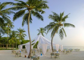 maledivy-hotel-dusit-thani-maldives-533_ext_w_1.jpg