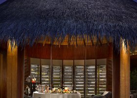 maledivy-hotel-dusit-thani-maldives-544_ext_w_1.jpg