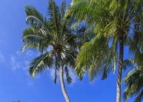 maledivy-hotel-kuramathi-island-resort-141_ext_w_1.jpg