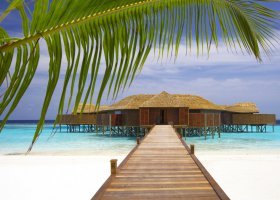 maledivy-hotel-lily-beach-resort-042_ext_w_1.jpg
