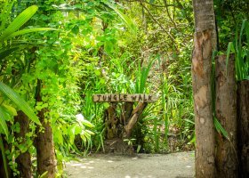 maledivy-hotel-niva-dhigali-289_ext_w_1.jpg