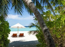 maledivy-hotel-niva-velassaru-400_ext_w_1.jpg