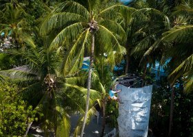 maledivy-hotel-one-only-reethi-rah-146_ext_w_1.jpg