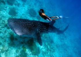 maledivy-hotel-outrigger-maafushivaru-046_ext_w_1.jpg