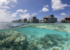 maledivy-hotel-six-senses-laamu-326_ext_w_1.jpg