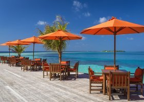 maledivy-hotel-sun-siyam-vilu-reef-248_ext_w_1.jpg