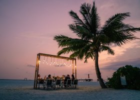 maledivy-hotel-sun-siyam-vilu-reef-274_ext_w_1.jpg