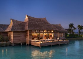 maledivy-hotel-waldorf-astoria-maldives-ithaafushi-032_ext_w_1.jpg
